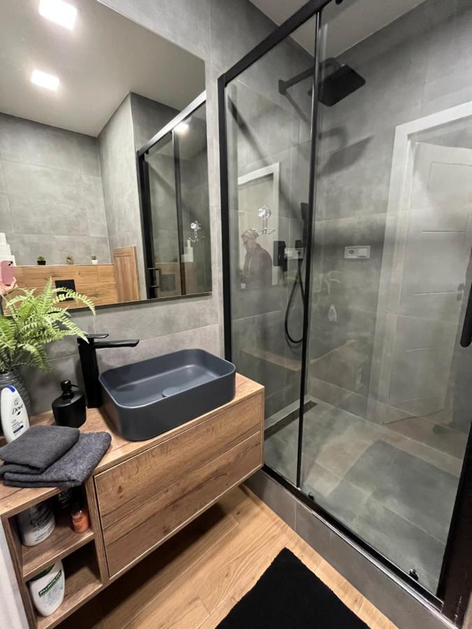 Luxusní nově zrekonstruovaný Apartmán 2kk - 47m2 - Ostrava Centrum Esterno foto